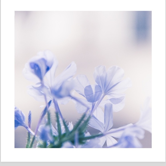 Meet your Posher, Blue - Picture 1 of 1